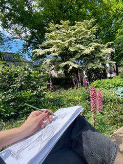 Ein Skizzen-Buch liegt auf den Beinen. Auf dem Papier ist eine Zeichnung von Blättern. Im Hintergrund blühen Blumen.